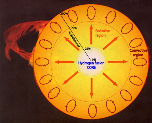 This diagram of the Sun helps explain dredging.  The Sun is still on the main sequence, so its convective region is on its surface.  But when stars like the Sun become red giants, temporary convective cells called drag-ups can reach from the surface to the fusion core.  This can introduce different chemical elements to the visible surface.  Image credit: CSIRO/ATNF/Naval Research Laboratory